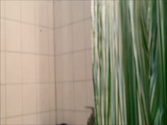I would like to offer a covert livecam video of the housewife from my neighbor using the restroom.